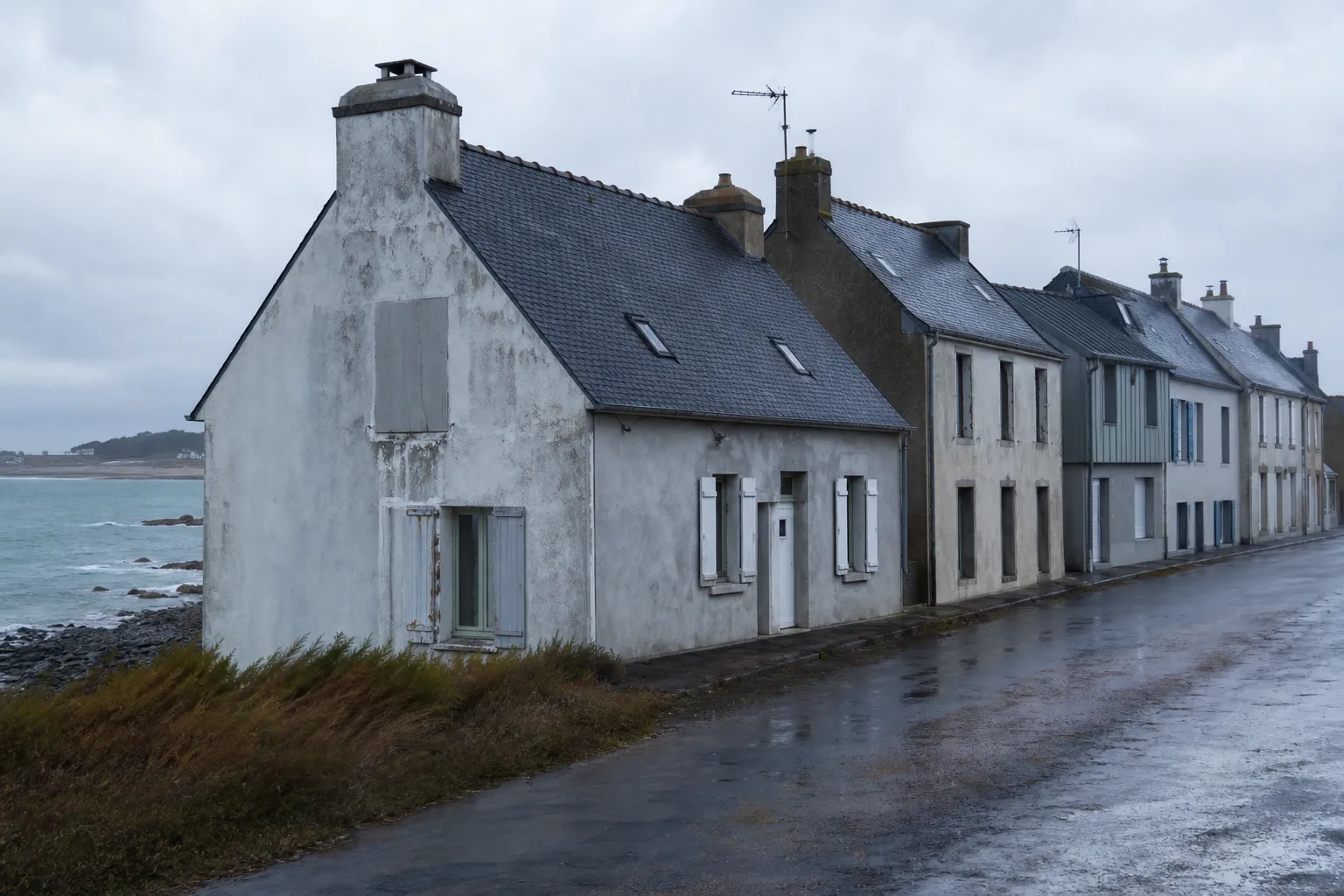 Rangée de maisons sobres le long d’une route côtière, toitures en ardoise et végétation couchée par le vent