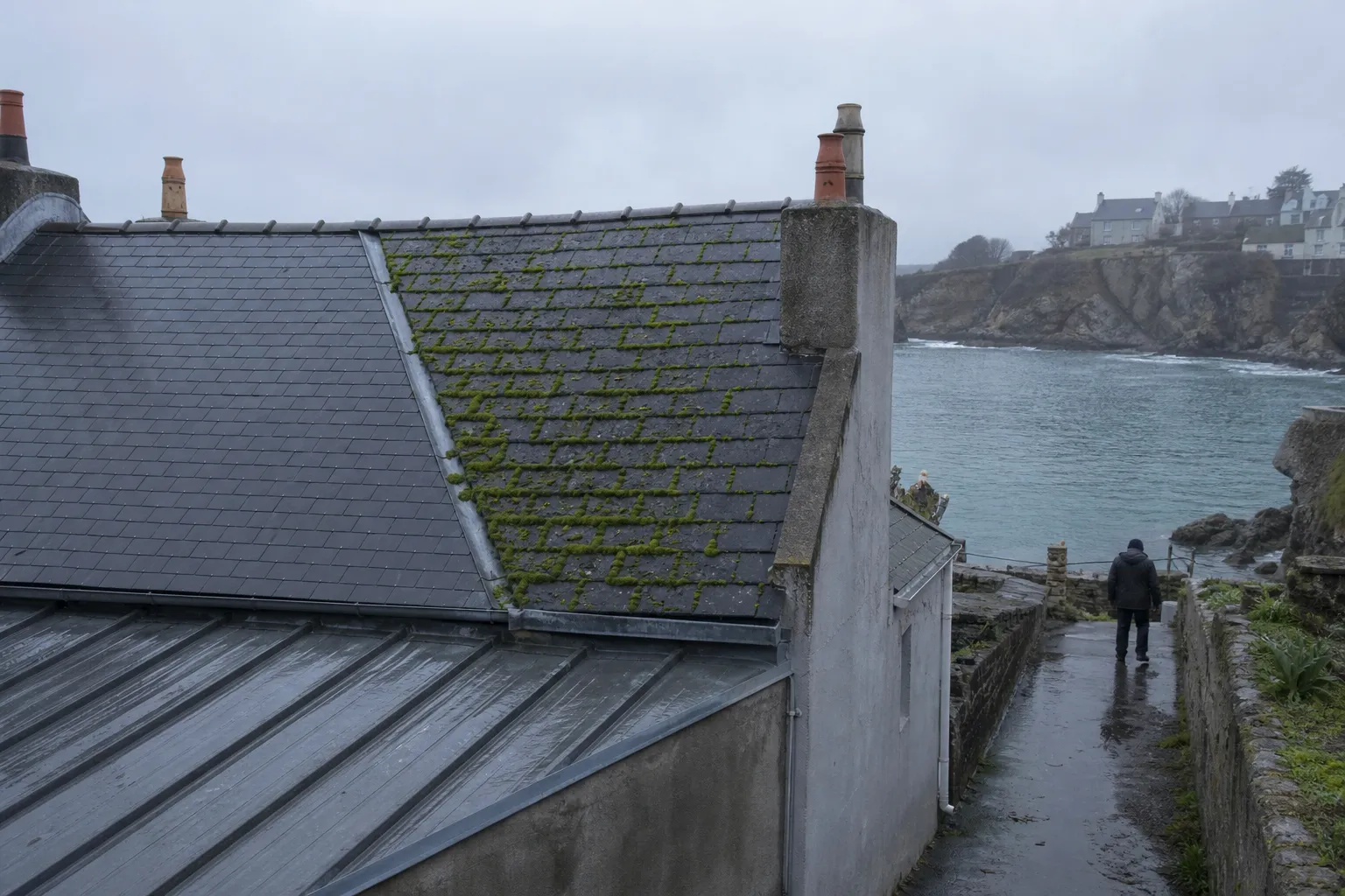 Versant nord d’une toiture en ardoise envahi de mousse, versant sud resté propre